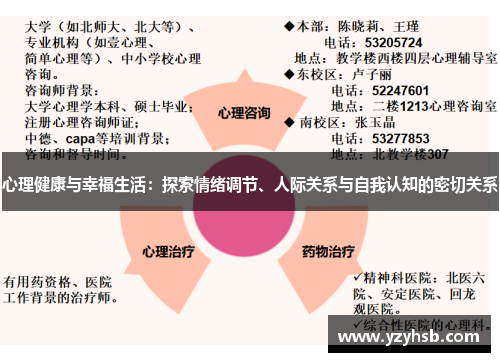 心理健康与幸福生活：探索情绪调节、人际关系与自我认知的密切关系